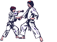 karate-image-animee-0056