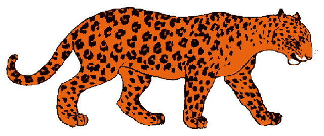 leopard-image-animee-0019