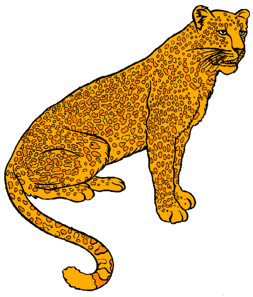 leopard-image-animee-0025