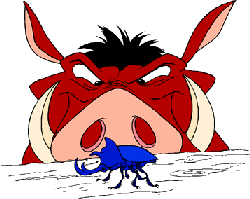 le-roi-lion-image-animee-0092