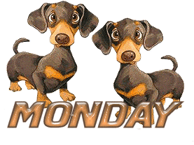 lundi-image-animee-0040