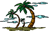 palmier-image-animee-0005