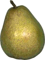 poire-image-animee-0005