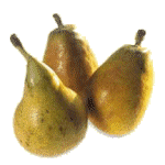 poire-image-animee-0016