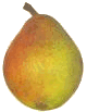 poire-image-animee-0031