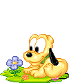 bebe-disney-image-animee-0132
