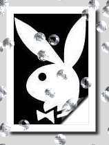 playboy-image-animee-0171