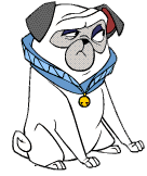 pocahontas-image-animee-0033