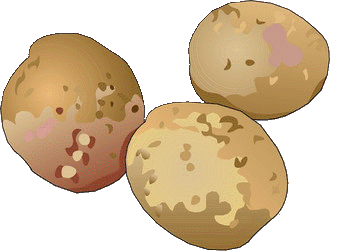 pomme-de-terre-image-animee-0027