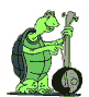 reptile-image-animee-0022