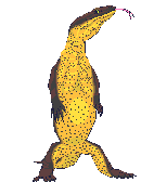 reptile-image-animee-0063