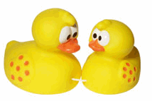 canard-en-plastique-image-animee-0130