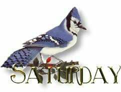 samedi-image-animee-0038