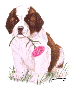 st-bernard-image-animee-0006