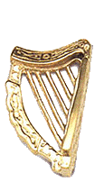 instrument-a-cordes-image-animee-0043