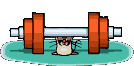 bodybuilding-image-animee-0049