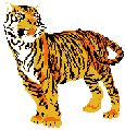 tigre-image-animee-0005
