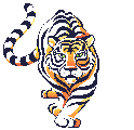 tigre-image-animee-0013