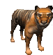 tigre-image-animee-0041