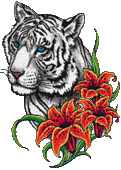 tigre-image-animee-0045