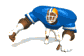 football-americain-image-animee-0042