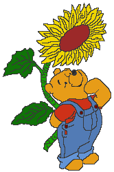 winnie-l-ourson-image-animee-0104