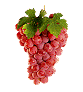 raisin-image-animee-0023