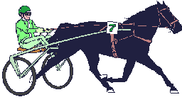 equitation-image-animee-0027