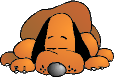 limier-image-animee-0015