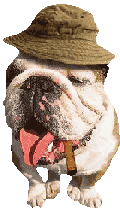 bulldog-image-animee-0034
