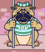 bulldog-image-animee-0038