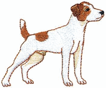 jack-russel-terrier-image-animee-0002