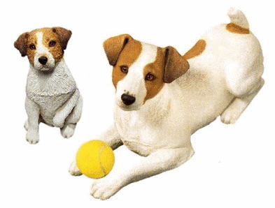 jack-russel-terrier-image-animee-0009