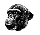singe-image-animee-0277