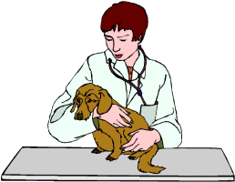 veterinaire-image-animee-0030