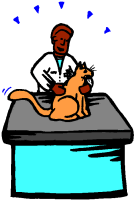 veterinaire-image-animee-0041