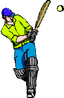 cricket-image-animee-0024