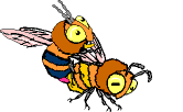 abeille-image-animee-0030