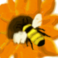 abeille-image-animee-0089