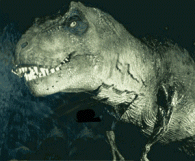 dinosaure-image-animee-0011