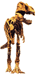 dinosaure-image-animee-0024