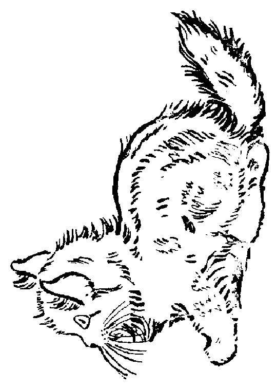 coloriage-chat-image-animee-0004