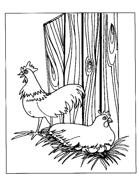 coloriage-poulet-image-animee-0009