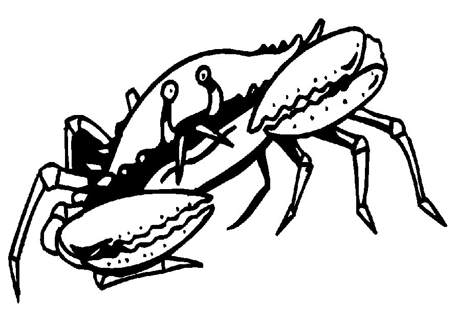 coloriage-crabe-image-animee-0012