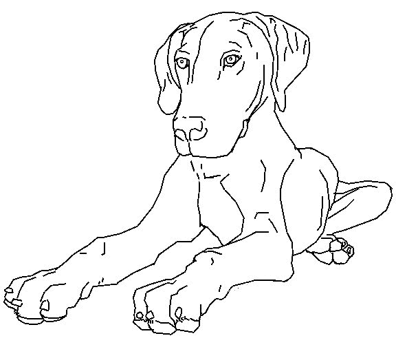 coloriage-chien-image-animee-0007