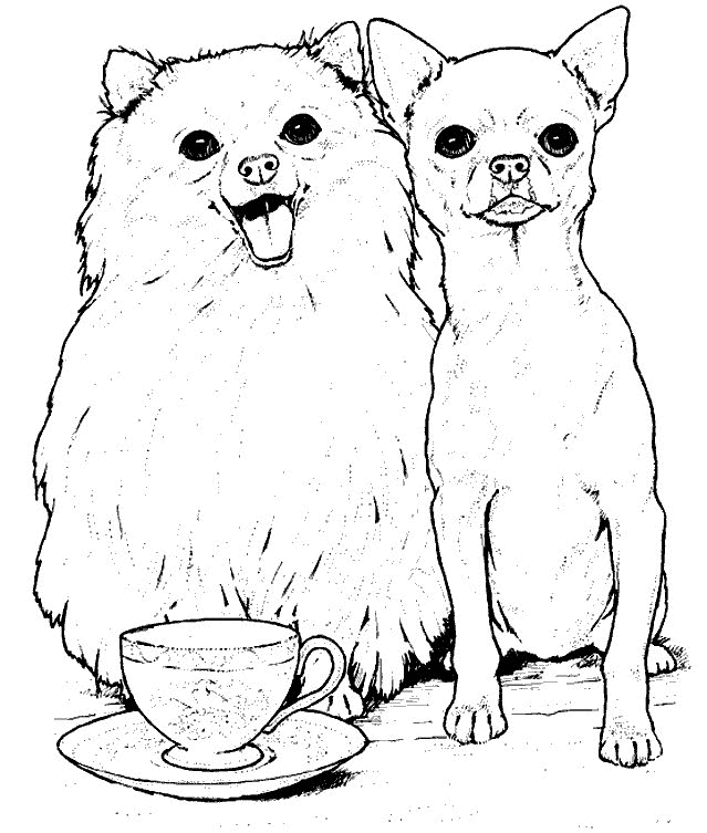 coloriage-chien-image-animee-0011