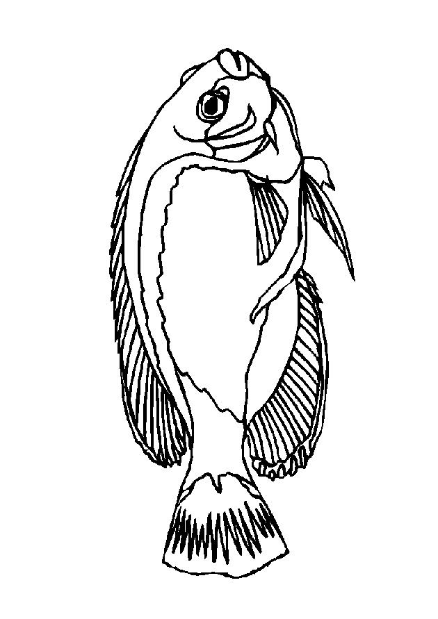 coloriage-poisson-image-animee-0027