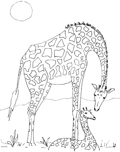 coloriage-girafe-image-animee-0007