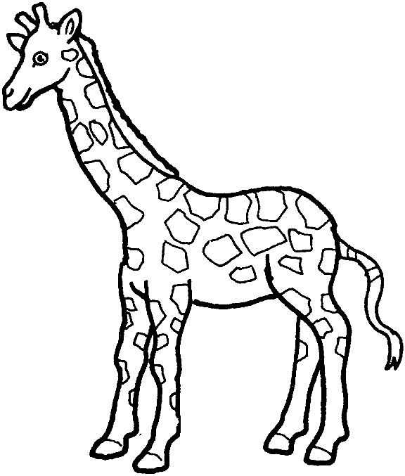 coloriage-girafe-image-animee-0016
