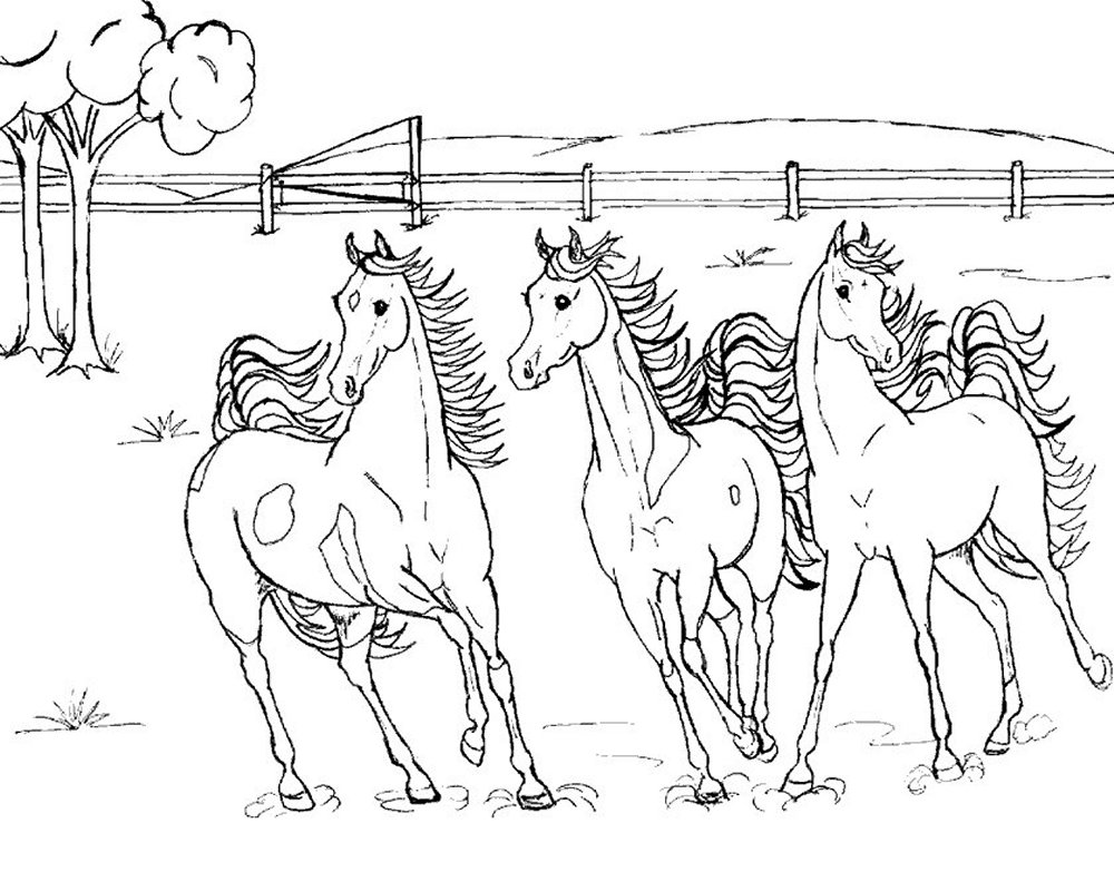 coloriage-cheval-image-animee-0024